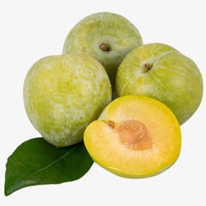 绿宝石李子png免抠素材_新图网 https://ixintu.com 健康 绿色食品 绿色食品宣传PNG 美国李子 食品png 食品矢量图片ps 食物免扣 食物免扣图片