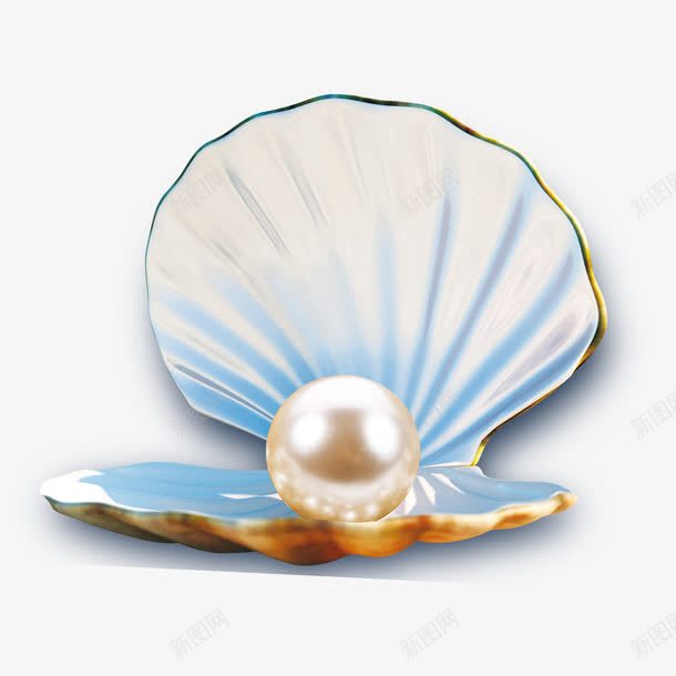 婚礼花珍珠png免抠素材_新图网 https://ixintu.com 免抠图 海洋婚礼素材 珍珠 贝壳