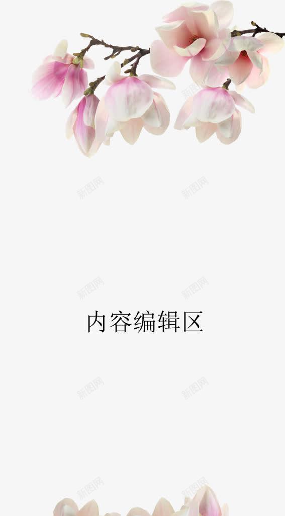 粉色桃花展架模板psd免抠素材_新图网 https://ixintu.com X展架设计 x展架 展架 展架模板 展架海报 桃花 海报素材 炫彩展架 粉色