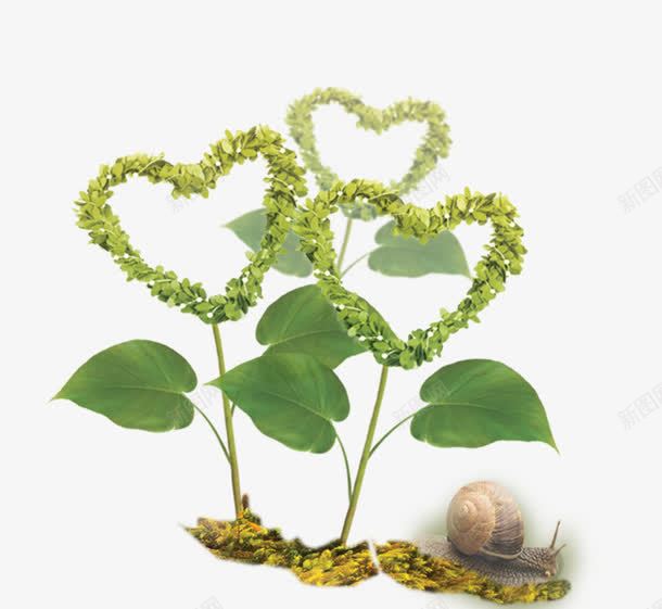 心形植物png免抠素材_新图网 https://ixintu.com 小清新 春天 春日 清明 清明节 踏青