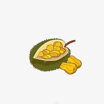 手绘菠萝蜜png免抠素材_新图网 https://ixintu.com 手绘 水果 菠萝蜜素材 黄色果肉