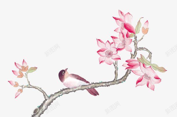 古风花鸟png免抠素材_新图网 https://ixintu.com 古风 工笔画 花鸟