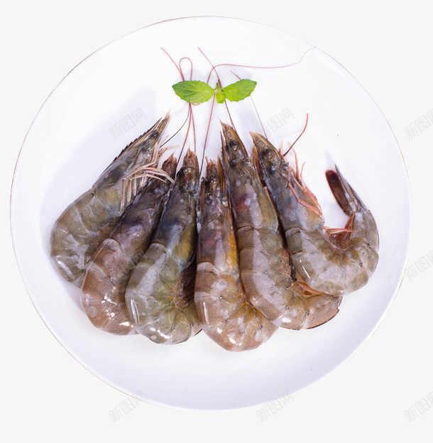 营养南美白对虾png免抠素材_新图网 https://ixintu.com 南美白对虾 护理 新鲜 海鲜 竹节虾 美味 美食 营养 蛋白质