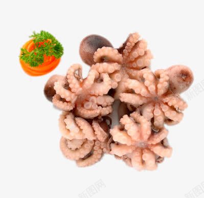 切成花状的鱿鱼png免抠素材_新图网 https://ixintu.com png图片素材 产品实物 免费png元素 免费png素材 切成花状的鱿鱼 海鲜 绿色食品
