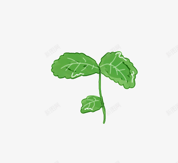 春天植物小草叶子png免抠素材_新图网 https://ixintu.com 叶子 小草 春天 植物