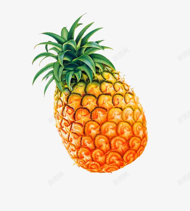 菠萝png免抠素材_新图网 https://ixintu.com 健康 农业 扣好的水果 水果 瓜果 绿色 蔬菜