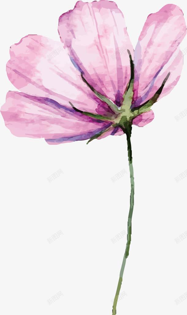 缤纷花朵玫瑰花花朵png免抠素材_新图网 https://ixintu.com 怒放的花朵 手绘蓝色花朵 玉兰花朵 矢量手绘花朵 简易花 简易花朵 精美植物花朵字母 绿色图案花朵 花朵圆 花朵文本框 青色花朵