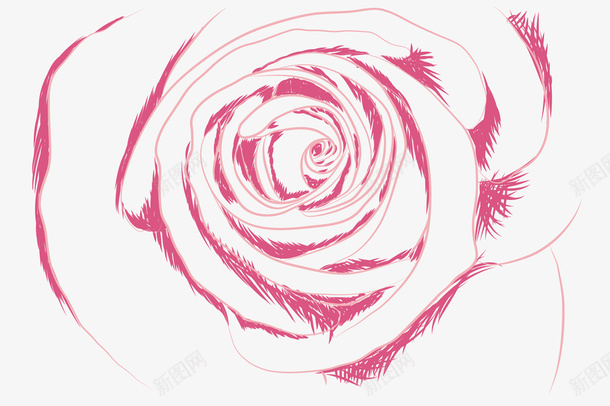 玫瑰花底纹png免抠素材_新图网 https://ixintu.com 玫瑰花 玫瑰花底纹 矢量玫瑰花 线稿玫瑰花 花卉