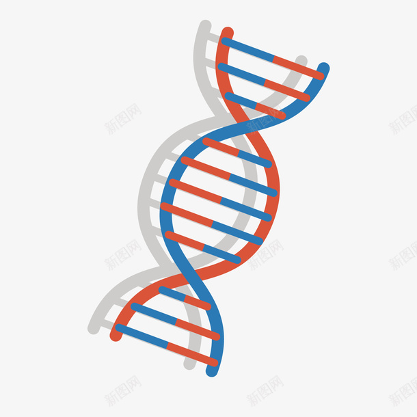 彩色基因组件矢量图ai免抠素材_新图网 https://ixintu.com 基因 彩色 扁平化 投影 渐变 组件 质感 矢量图