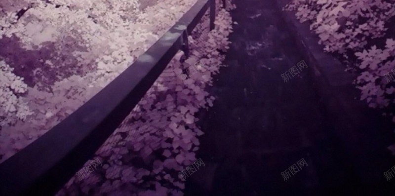 梦幻樱花天空H5背景jpg设计背景_新图网 https://ixintu.com H5 h5 唯美 天空 小清新 彩色 文艺 日本 梦幻 樱花 简约 风景