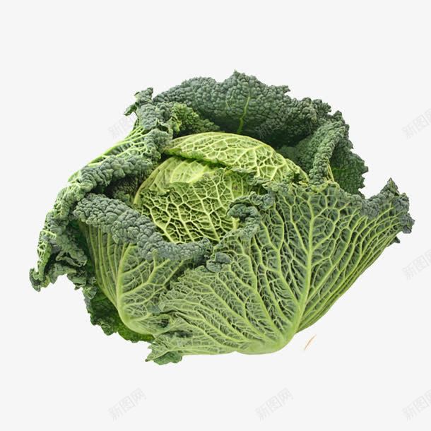 新鲜的包菜蔬菜png免抠素材_新图网 https://ixintu.com 切开的紫甘蓝 包菜 包菜摄影 包菜背景 土地里的包菜 新鲜的包菜 新鲜的包菜蔬菜 新鲜蔬菜 木板 生长的包菜 白菜 紫甘蓝 绿色蔬菜 菜类图片