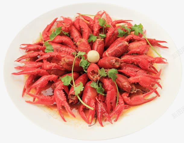 小龙虾和香菜png免抠素材_新图网 https://ixintu.com 小龙虾 油焖小龙虾 海鲜 美食