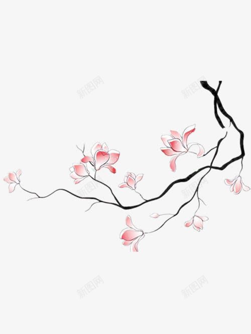 手绘玉兰花png免抠素材_新图网 https://ixintu.com 好看的玉兰花 手绘 漂亮的玉兰花 粉色的玉兰花