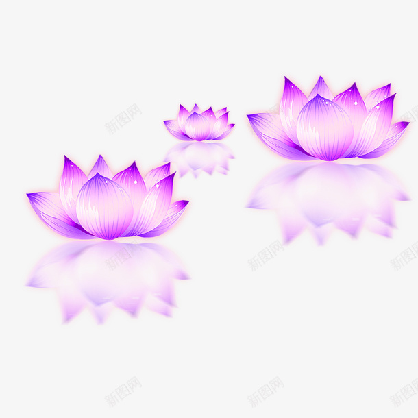 中元节紫色莲花灯psd免抠素材_新图网 https://ixintu.com PNG透明底色 中元元 中元节紫色莲花灯下载 佛灯 卫塞节 大图免下载 点灯浴佛 紫色莲花灯 装饰图