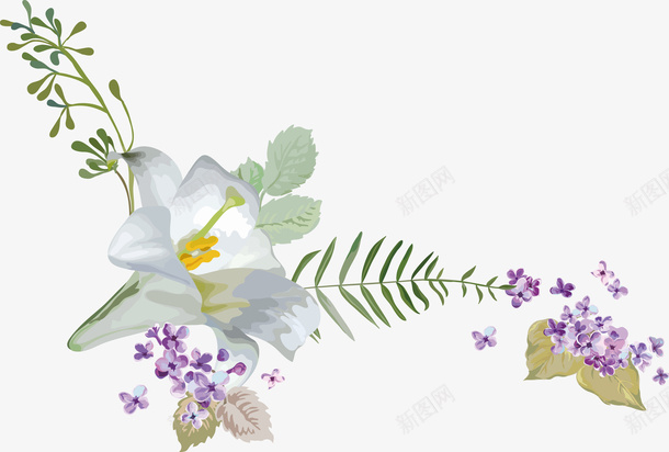 漂亮百合花一束百合花png免抠素材_新图网 https://ixintu.com 卡通百合花 白色百合花 百合花手绘 百合花朵 百合花环 百合花矢量图 百合花纹 百合花花瓣 百合花苞 百合花藤