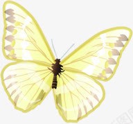 春天黄色梦幻蝴蝶png免抠素材_新图网 https://ixintu.com 春天 梦幻 蝴蝶 黄色