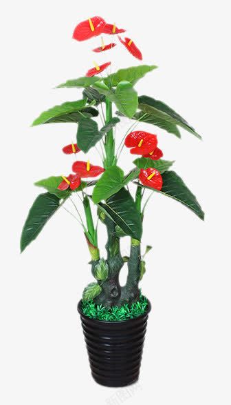假树古龙红掌仿真植物树png免抠素材_新图网 https://ixintu.com 产品实物 假树古龙红掌仿真植物树 客厅办公室内大型落地装饰花艺 绿植盆栽景