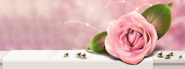 唯美玫瑰花背景图jpg设计背景_新图网 https://ixintu.com 创意 海报 淘宝banner 淘宝海报 淘宝海报素材下载 简约 粉色玫瑰花 粉色背景