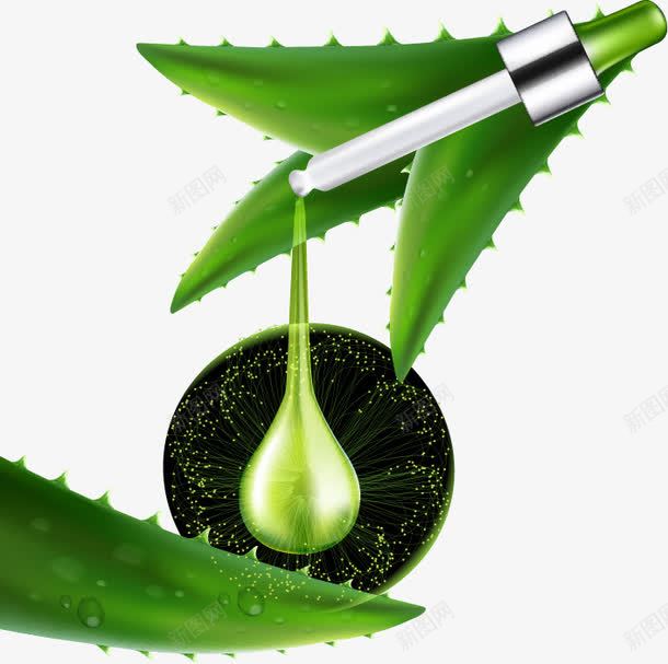 清新芦荟植物精华png免抠素材_新图网 https://ixintu.com 宣传 海报 清新 滴管 精华 绿色 自然 芦荟