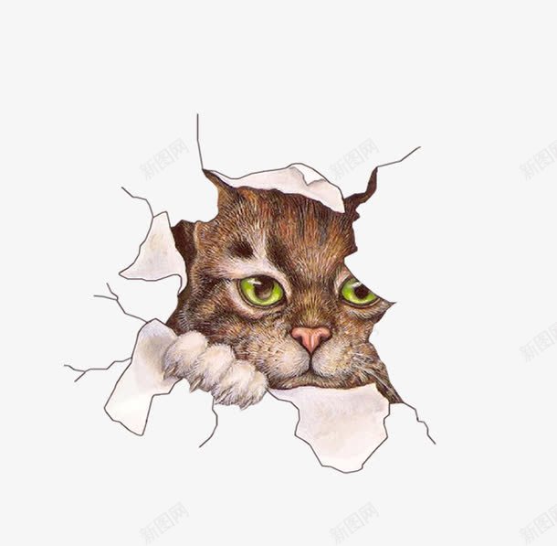 破纸与猫咪png免抠素材_新图网 https://ixintu.com 创意 卡通 可爱 手绘 撕咬 撕坏纸 撕开 撕破 猫咪 破裂的纸