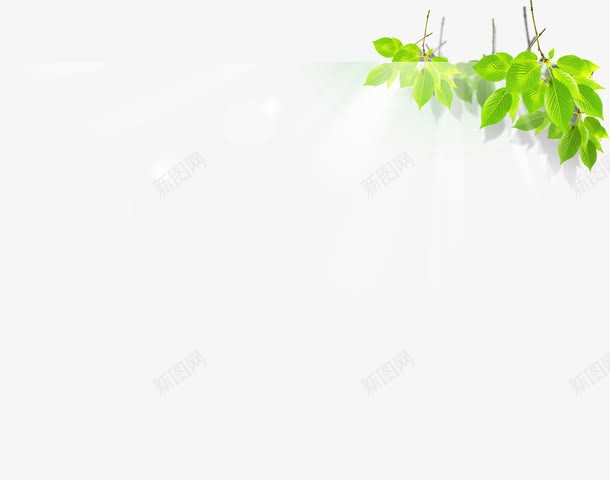 卡通春天树叶清新png免抠素材_新图网 https://ixintu.com 卡通 春天 树叶 清新