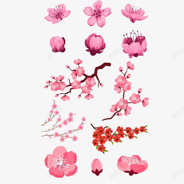 桃花盛开png免抠素材_新图网 https://ixintu.com 手绘 春天 枝头 桃花 水彩 粉红色 花蕊 花骨朵儿