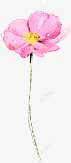 手绘粉色花卉水彩画背景png免抠素材_新图网 https://ixintu.com 水彩画 粉色 背景 花卉