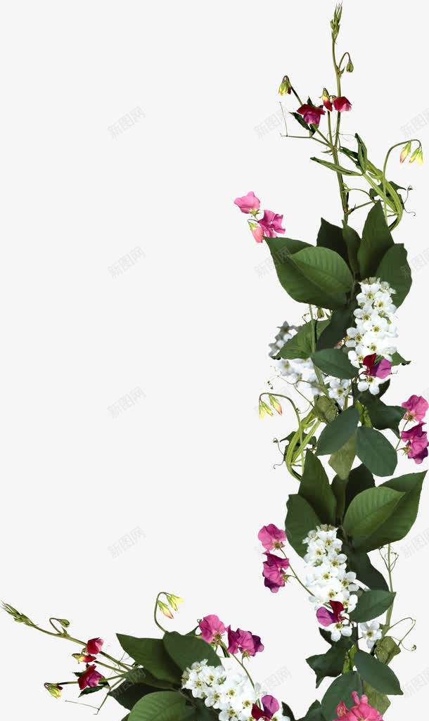 婚礼花门装饰图案png免抠素材_新图网 https://ixintu.com 婚礼花门 浪漫婚礼 花卉 花门 装饰图案