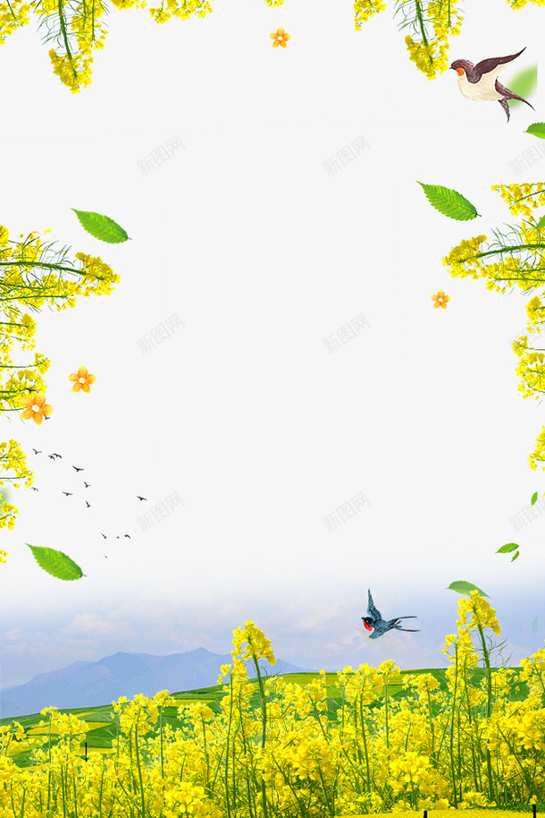 春季油菜花装饰边框psd免抠素材_新图网 https://ixintu.com 大自然景色边框 春季 春游 春色 植物边框 油菜花装饰边框 花朵装饰边框