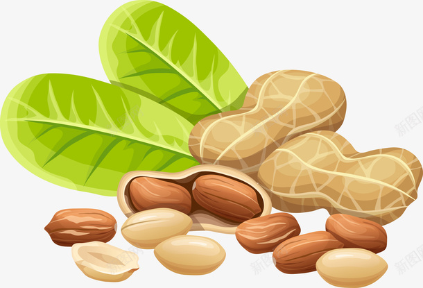 花生食用油png免抠素材_新图网 https://ixintu.com 卡通可爱 彩色底纹 矢量图案 绿色叶子 花生 食用油