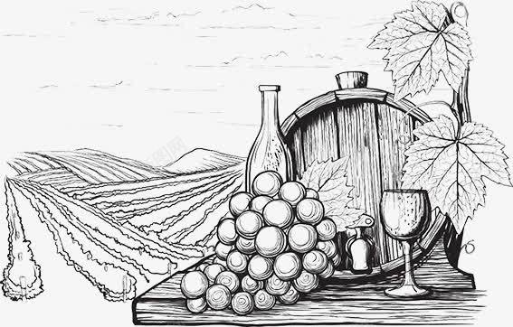 线描红酒庄园png免抠素材_新图网 https://ixintu.com 素描 红酒庄园 葡萄园 葡萄酒