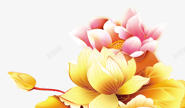 中秋节装饰鲜花psd免抠素材_新图网 https://ixintu.com 中秋节装饰 粉色 花朵 金色 鲜花