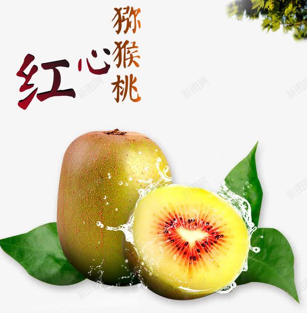 红心猕猴桃psd免抠素材_新图网 https://ixintu.com 水果 水花素材 猕猴桃 红心 绿叶