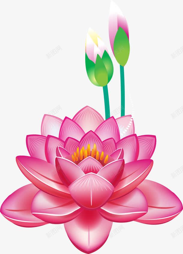 手绘红色花朵png免抠素材_新图网 https://ixintu.com 唯美 小清新 手绘 简约 红色 花朵 花瓣 荷花