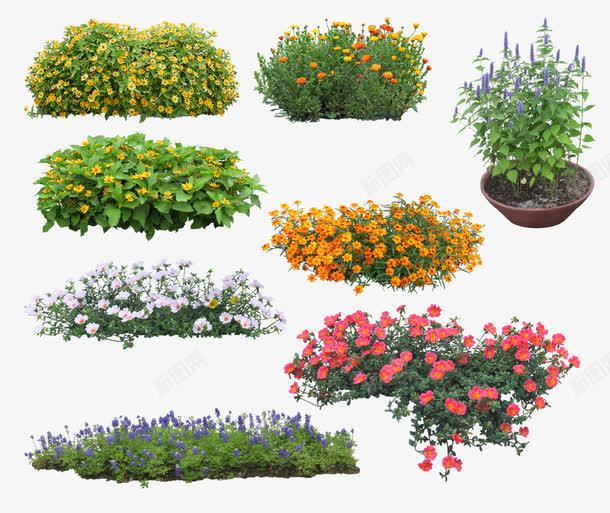 绿色植物png免抠素材_新图网 https://ixintu.com 3D贴图 效果图元素 盆景 绿化 绿植 绿色植物