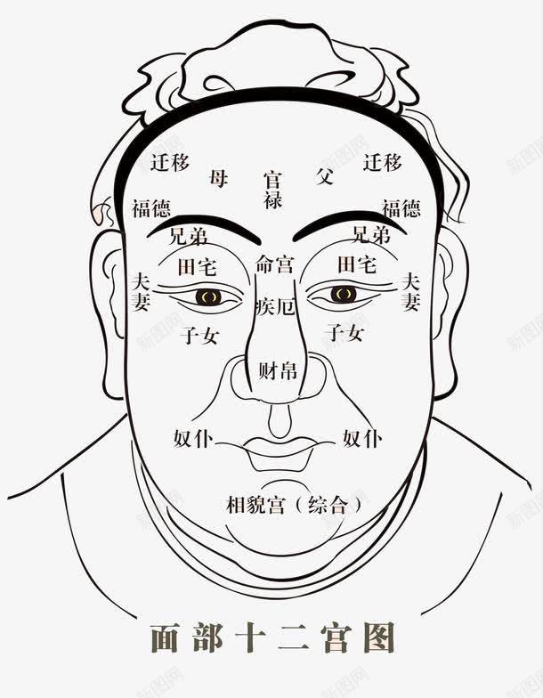 宗教信仰面部十二宫png免抠素材_新图网 https://ixintu.com 宗教信仰 文化艺术 求签算命 流年运气 算命 迷信 面相 面部十二宫 风水