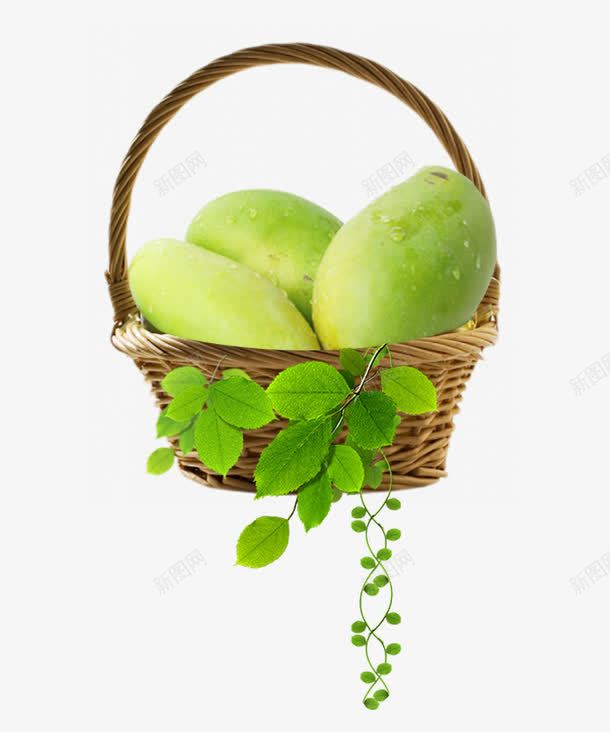 进口生鲜水果一篮子芒果png免抠素材_新图网 https://ixintu.com 一篮子芒果 水果 水果节 生鲜水果 芒果 青色芒果