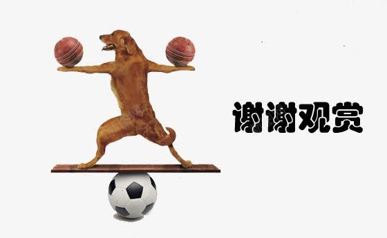 谢谢观赏小狗平衡木png免抠素材_新图网 https://ixintu.com 小狗 平衡木 感谢观看 观看 观赏 谢谢欣赏 谢谢观赏