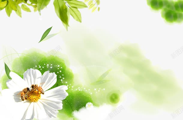 实物小菊花边框装饰背景png免抠素材_新图网 https://ixintu.com 叶子 实物花 春天 清新 白菊花