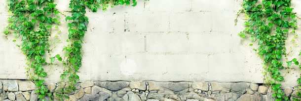 淘宝简约百搭背景jpg设计背景_新图网 https://ixintu.com 清新 百搭 素雅