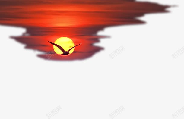 夕阳和晚霞png免抠素材_新图网 https://ixintu.com 夕阳 晚霞 海鸥 火烧云 落日