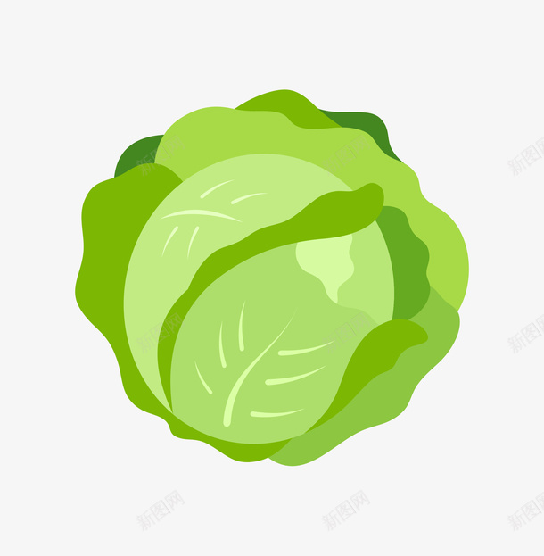手绘卡通绿色卷心菜png免抠素材_新图网 https://ixintu.com 动漫动画 卡通 卷心菜插画 手绘 绿色卷心菜 蔬菜 装饰