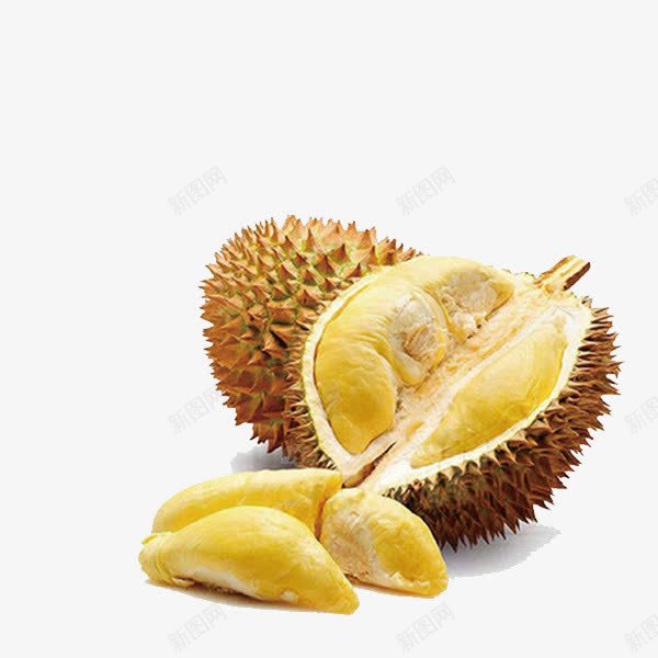 切开的泰国金枕榴莲png免抠素材_新图网 https://ixintu.com 传单 宣传 果实 果肉 榴莲 水果 泰国 泰国榴莲 海报 金枕榴莲