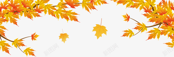 简约大气插画秋分节气png免抠素材_新图网 https://ixintu.com 叶子 大气 插画 秋分 简约 简约大气插画秋分节气 节气