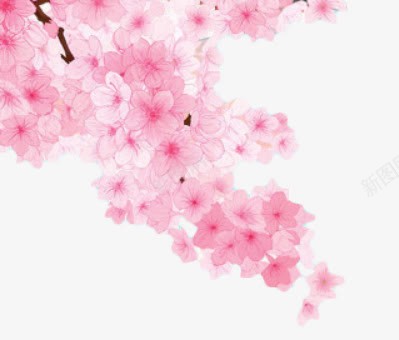 手绘樱花png免抠素材_新图网 https://ixintu.com 手绘 樱花 花枝