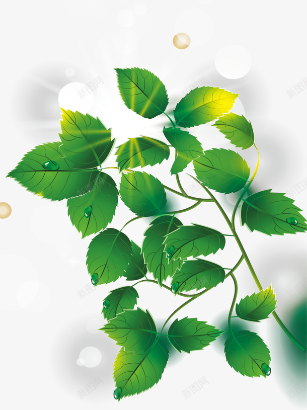 绿色树叶发光背景装饰图案矢量图ai免抠素材_新图网 https://ixintu.com 发光背景 春天 春天免费下载 树叶 绿色 装饰图案 矢量图