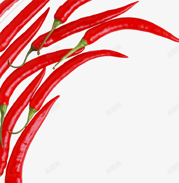 火红的辣椒png免抠素材_新图网 https://ixintu.com 尖椒 植物 火辣 红色 红辣椒串 绿色 美食 辣椒 配料