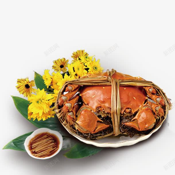 清蒸的大闸蟹png免抠素材_新图网 https://ixintu.com psd源文件 海中美食 海鲜自助 生姜 竹绳 菊花