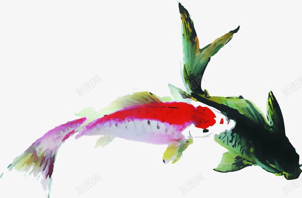 手绘绿红色画卷金鱼装饰png免抠素材_新图网 https://ixintu.com 画卷 红色 装饰 金鱼