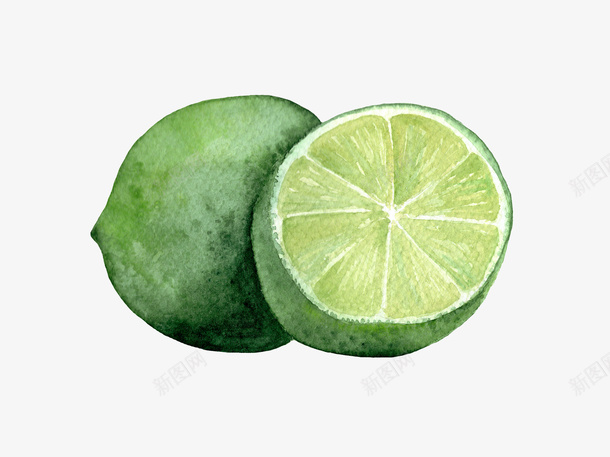 手绘的青柠檬水果png免抠素材_新图网 https://ixintu.com 手绘植物 植物 水果 绿植 青柠檬 食材 食物